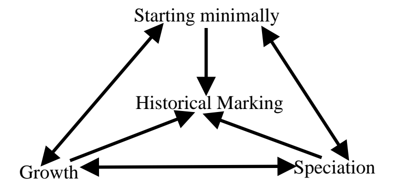 NEAT 组件依赖关系