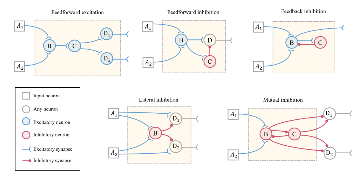 Fig 1: Common neural microcircuits