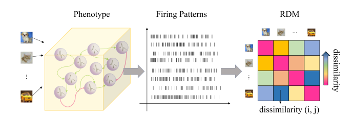 Fig 4: BIE calculation process