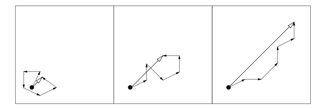 图5: 进化路径长度